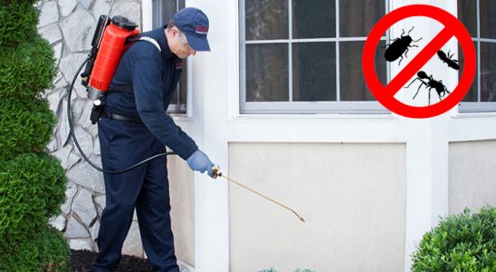 Ayrancılar Kene İlaçlama böcek ilaçlama ve haşere kontrolü — ilaclama-tr.com